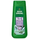 IRISH SPRING BODY WASH 20oz    5 IN 1 