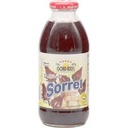 Ocho Rios SORREL WITH GINGER 16oz GLASS