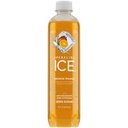 Sparkling Ice Orange Mango 17 OZ