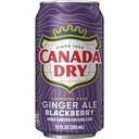  Canada Dry  GINGER  BLACKBERRY 12oz CAN