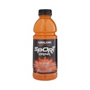 KIRKLAND SPORT DRINK ORANGE 20floz